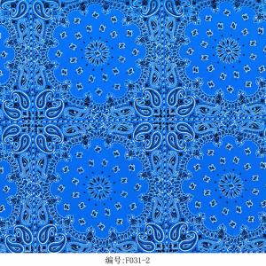 Blue Paisley Kaleidoscope